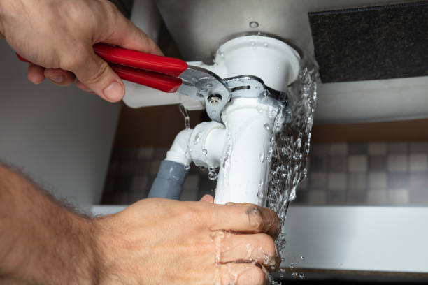 Best Mold removal after water damage  in Mokena, IL