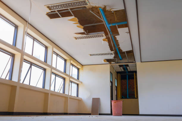 Best 24/7 water damage repair  in Mokena, IL