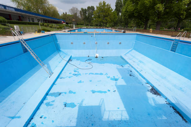 Best Carpet water damage restoration  in Mokena, IL