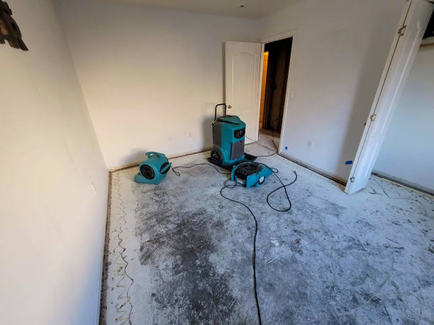  Mokena, IL Water damage restoration Pros