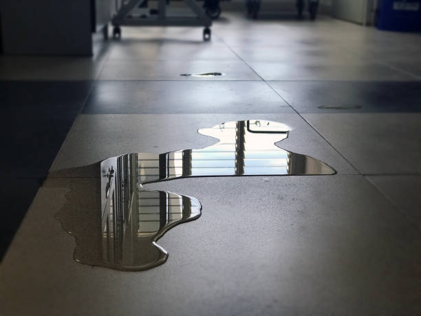 Water damage restoration insurance claims in IL