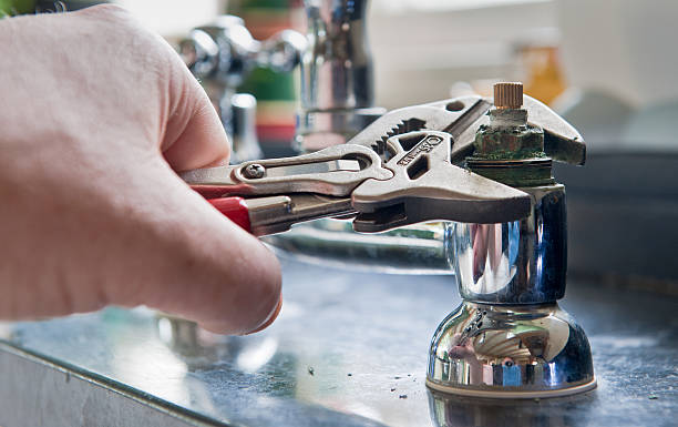 Best Flooded house restoration  in Mokena, IL