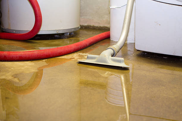 Best Fire Damage Restoration  in Mokena, IL